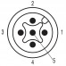 Шнур соединительный SAIL-M12GM12G-5-3.5U (9457340350)