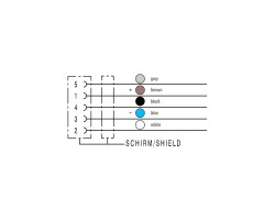 Шнур соединительный SAIL-M12BG-5S3.0U (9456140300)