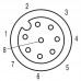 Шнур соединительный SAIL-M12BG-8-30U (1865873000)