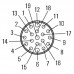 Шнур соединительный SAIB-M23-19P-ST-25M (1818182500)