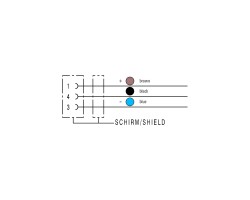 Шнур соединительный SAIL-M12BG-3S0.1U (1867410010)