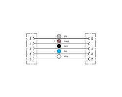 Шнур соединительный SAIL-M12BGM12G-5-8.0T (1011950800)