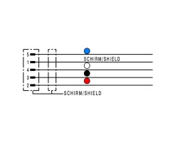 Шина - провод SAIL-M12G-CD-0.1A (1964700010)