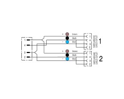 Шнур соединительный SAIL-ZW-M12BG-2/4-0.3U (1812550030)