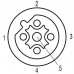 Шнур соединительный SAIL-M12WM12G-5B-5.0U (1057890500)