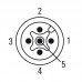 Соединительный разъем SAIEND CAN-M12 5P A-COD (1784760000)